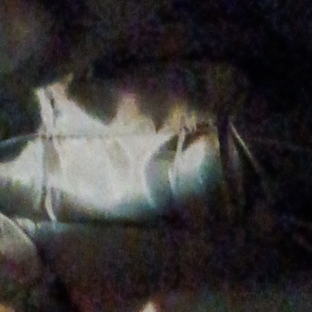YC HOLIDAY BAG